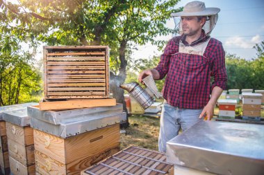 Çiftlikte arı kovanı kontrol arıcı
