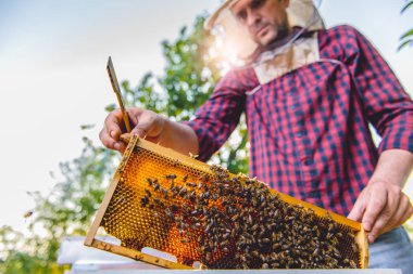 Tatlım kontrol arıcı