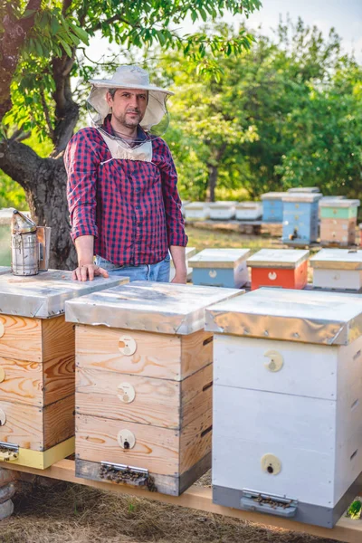 Imker steht hinter Bienenstöcken — Stockfoto