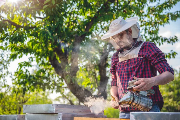 Apicultor inspeccionando abejas melíferas — Foto de Stock