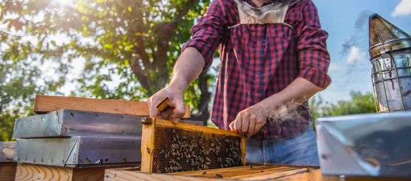 Imker inspiziert Bienen — Stockfoto