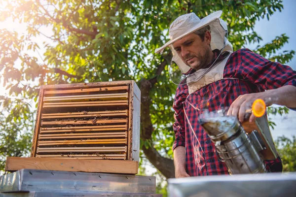 Imker inspiziert Bienenstöcke — Stockfoto