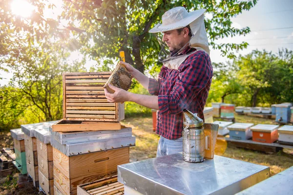Крупным планом фото пчеловода — стоковое фото