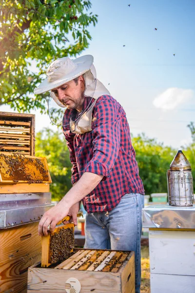 Foto de close-up do apicultor — Fotografia de Stock