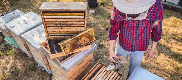 Μελισσοκόμος έλεγχο μέλισσες σε εξωτερικούς χώρους — Φωτογραφία Αρχείου