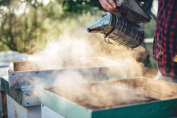 Arıcı yasaktır arı kovanı