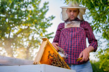 Onun tatlım kontrol arıcı