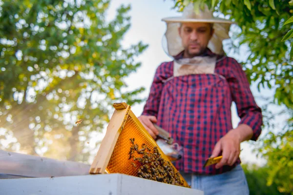 Onun tatlım kontrol arıcı