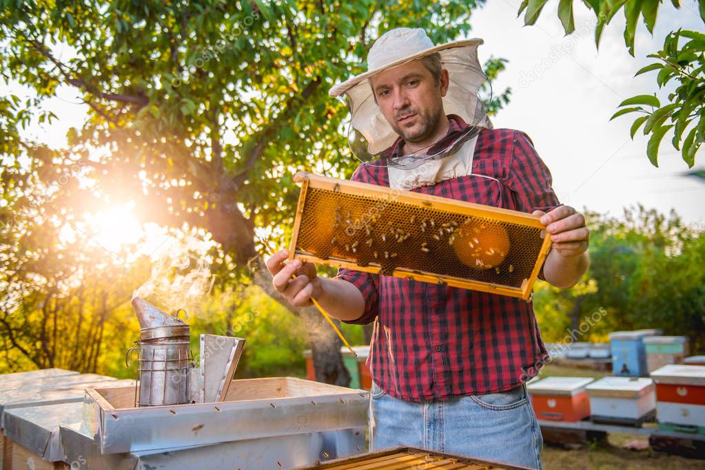 Beekeeper checking his honey