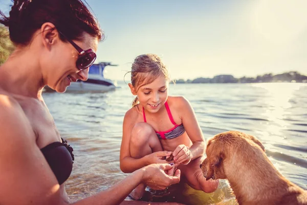 Мать с дочерью и собакой на пляже — стоковое фото