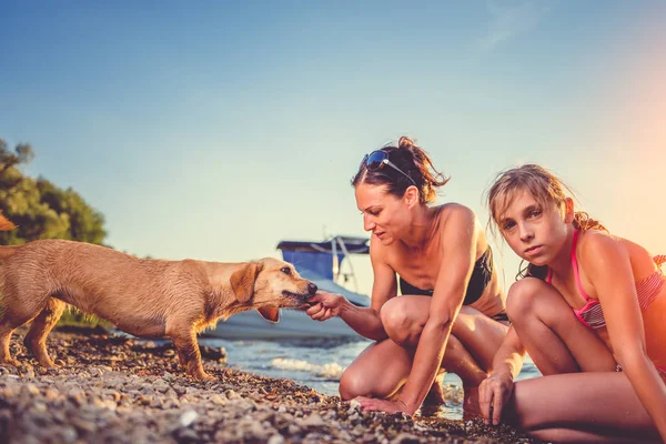 Anne kız ve köpek gün batımında ile