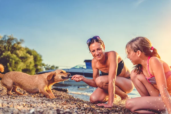 Mor med datter og hund ved solnedgang - Stock-foto