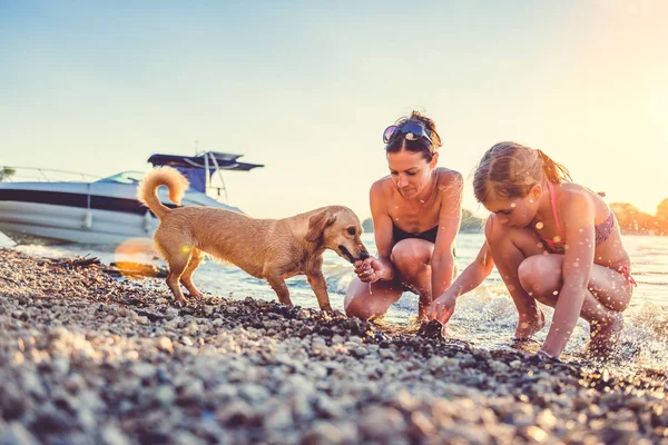 Mor med datter og lille hund - Stock-foto