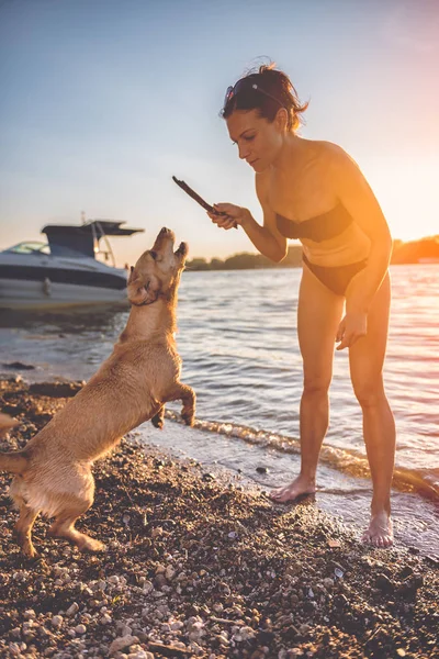 Femeie cu câine pe plajă — Fotografie, imagine de stoc