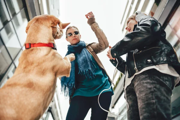 Mor med dotter och hund — Stockfoto