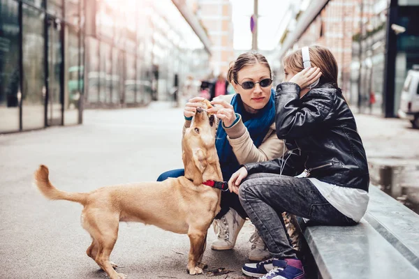 Mor med dotter och hund — Stockfoto