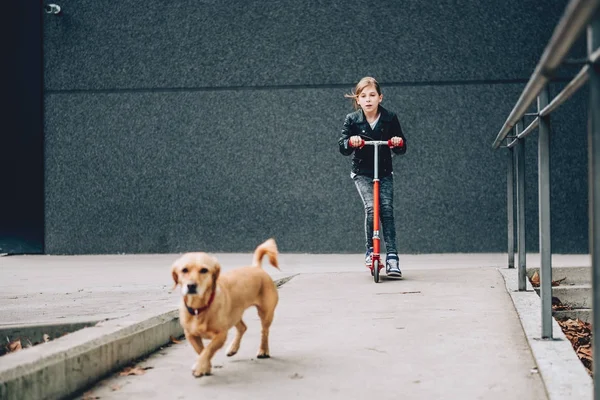 Pige kørsel rød scooter - Stock-foto