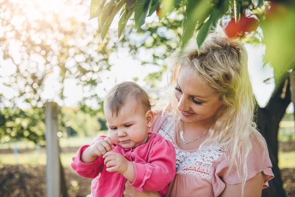 Madre con bebé recogiendo cereza —  Fotos de Stock