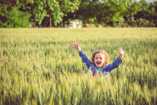 Chica en el campo de trigo —  Fotos de Stock