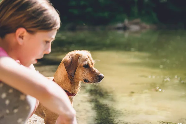 Mokry Pies Małą Dziewczynką Stojąc Nad Jeziorem — Zdjęcie stockowe
