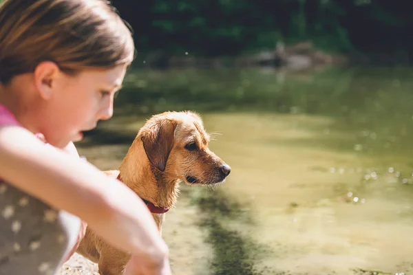 Perro Mojado Con Una Niña Pie Junto Lago — Foto de Stock