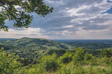 Ön planda bir ağaç dalı ile dağ manzarası