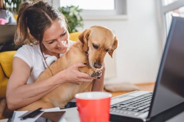Kadın köpek gülümsüyor ve onun pençe tutan katta oturan kucaklayan