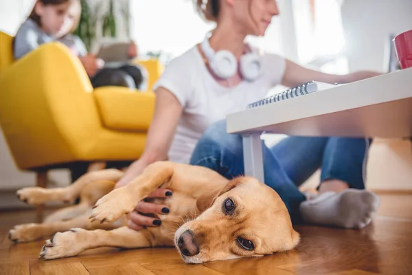 Woman Sitting Coffee Table Floor Stroking Dog Home While Daughter — Stock Photo, Image