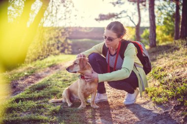Kadın köpek kürkü bir kene toplama
