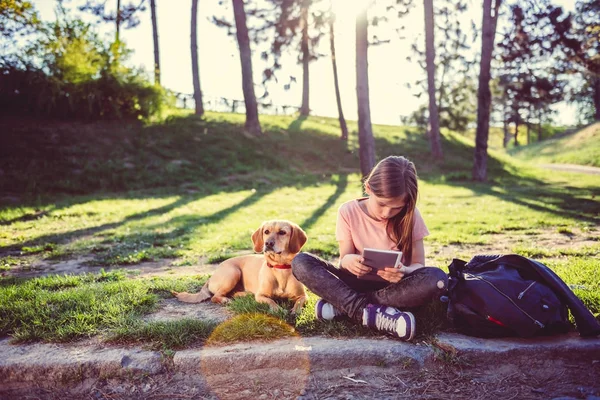 Pige Sidder Parken Med Hund Bruger Tablet - Stock-foto