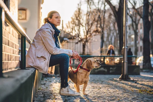 Femeie Câine Așezat Gard Verde — Fotografie, imagine de stoc