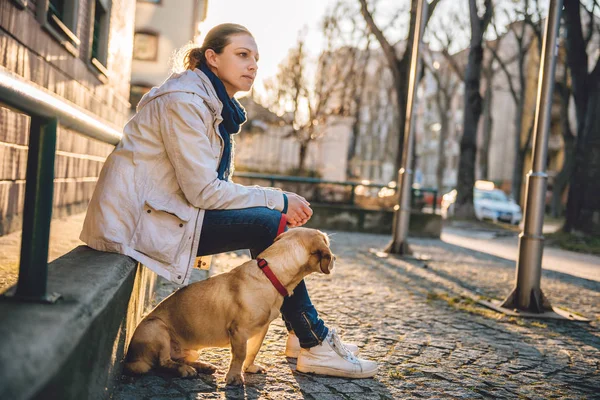 Kvinde Med Hund Siddende Grønt Hegn - Stock-foto