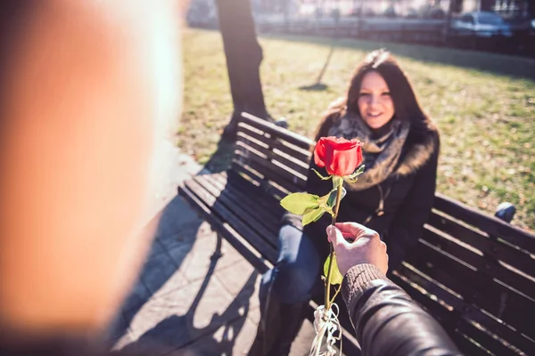 Homme Donnant Une Rose Rouge Une Femme Dans Parc — Photo