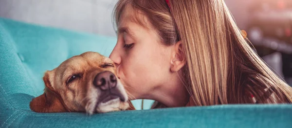 Lille Pige Kysse Hendes Lille Gule Hund Blå Sofa - Stock-foto