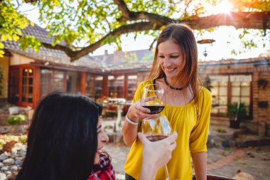 kırmızı şarap bardakları tokuşturup arkadaşlar