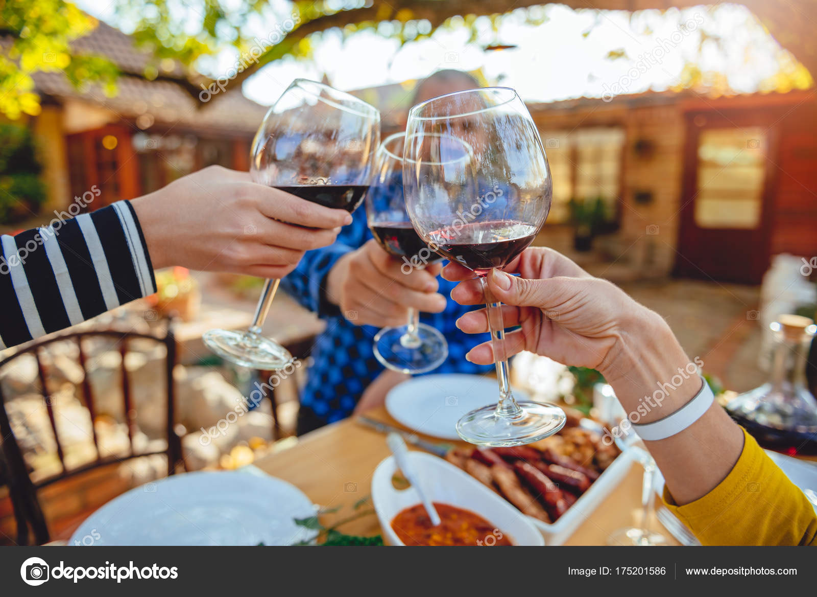 Family Toasting Red Wine Glasses Lunch Backyard Patio Stock Photo By Kerkezz 175201886 Family Toasting Red Wine Glasses Lunch, Patio Wine Glasses