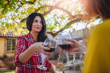 kırmızı şarap bardakları tokuşturup arkadaşlar