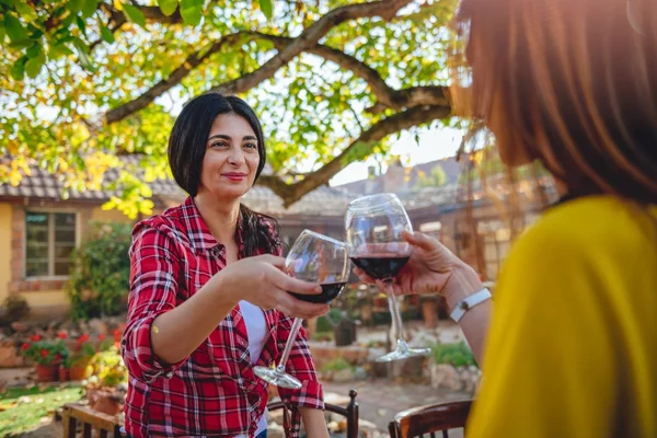 kırmızı şarap bardakları tokuşturup arkadaşlar