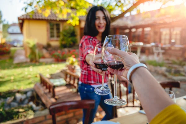 Amigos tintineo vasos con vino tinto — Foto de Stock