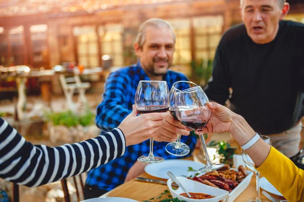 Family toasting with red wine glasses at lunch at backyard patio