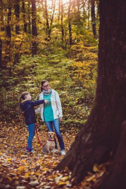 Anne ve kızı ile köpek renkli sonbahar ormanda hiking