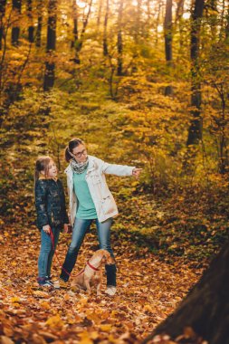 Anne ve kızı ile köpek renkli sonbahar ormanda hiking