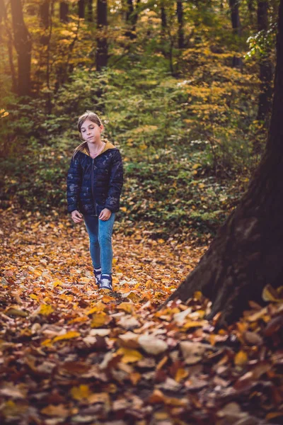 Chica Senderismo Colorido Bosque Otoño —  Fotos de Stock