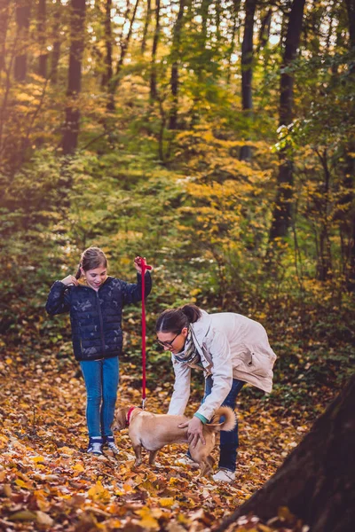 Мать Дочь Обнимают Маленькую Желтую Собачку Красочном Лесу — стоковое фото