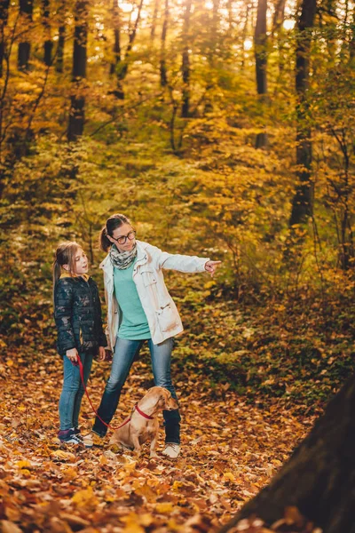 Мать Дочь Собакой Красочном Осеннем Лесу — стоковое фото