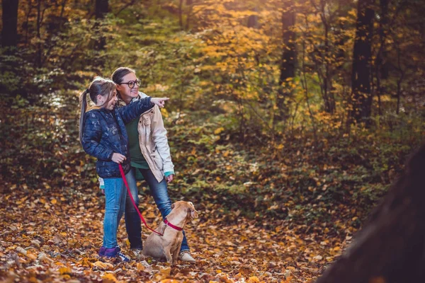 Matka Dcera Psem Turistika Barevné Podzimní Les — Stock fotografie