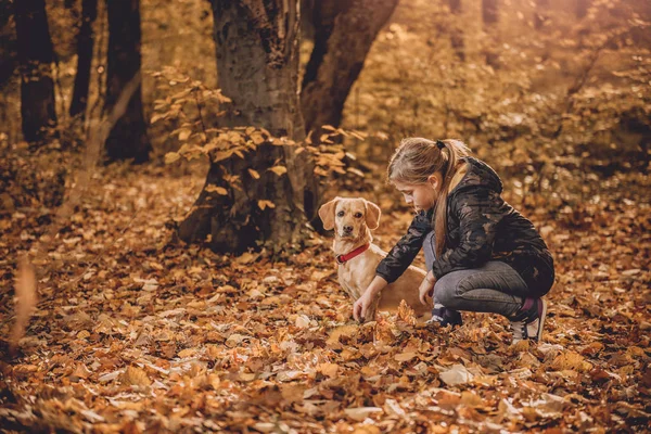 Девушка Парке Играет Собакой Солнечный Осенний День — стоковое фото