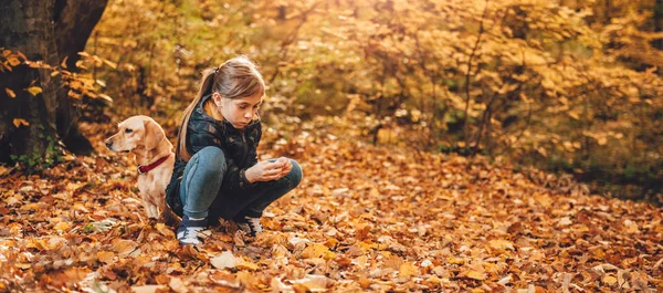 Dívka Parku Hrát Psem Slunečný Podzimní Den — Stock fotografie