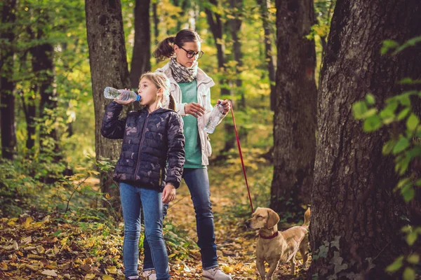 Pitná Voda Lese Dívka Její Matka Její Malý Žlutý Pes — Stock fotografie