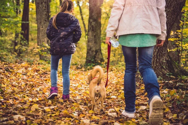 Mother and daughter hiking in a forest with dog